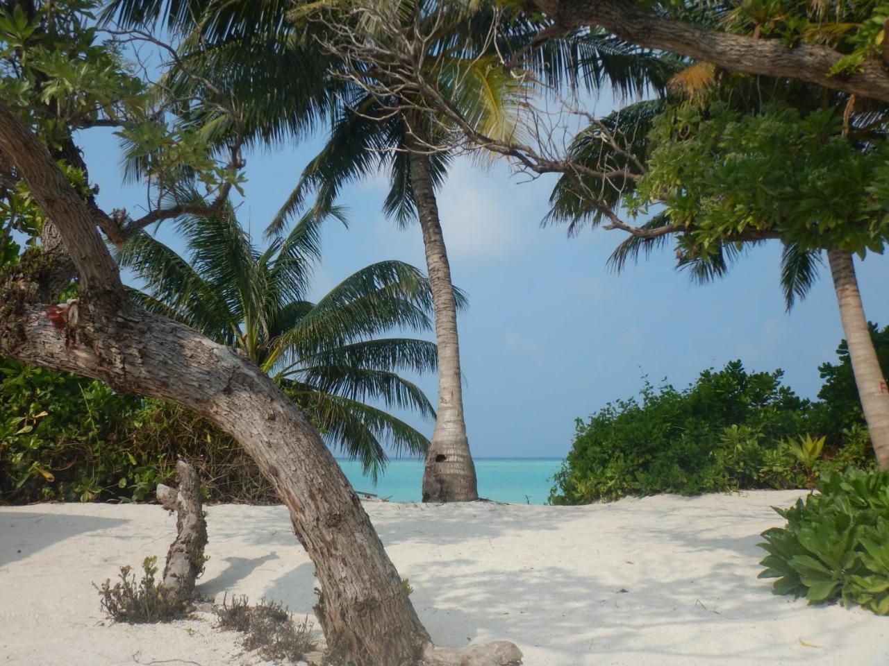 Lagoon Villa Maldives Thoddoo Exterior photo
